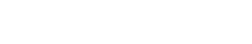 Skynet Logo